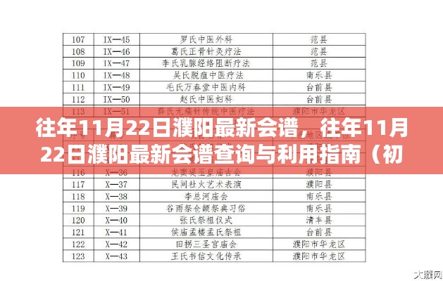 往年11月22日濮阳最新会谱详解与查询指南(初学者到进阶用户必备)