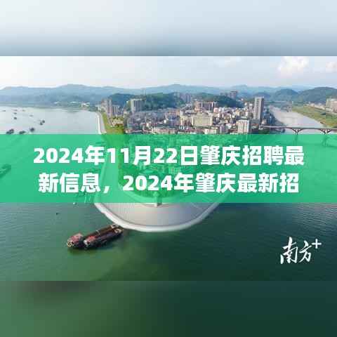 2024年肇庆最新招聘信息汇总,职场人的新选择,11月22日肇庆招聘更新