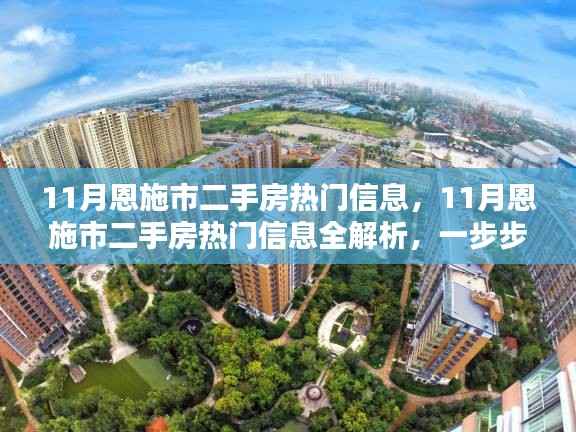 11月恩施市二手房热门信息详解,选购攻略与全面解析