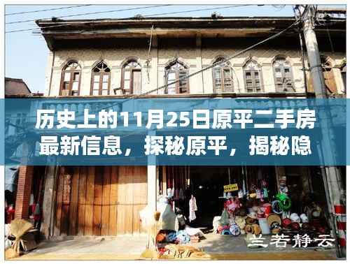 原平二手房新风尚与特色小店奇遇记,11月25日最新信息探秘