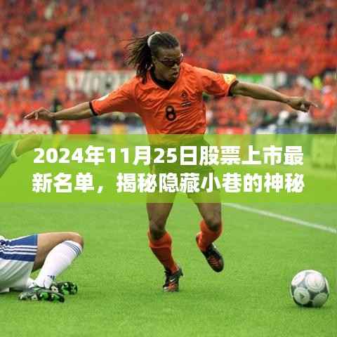 揭秘隐藏小巷的神秘小店,最新股票上市名单新星闪耀登场(2024年11月25日)