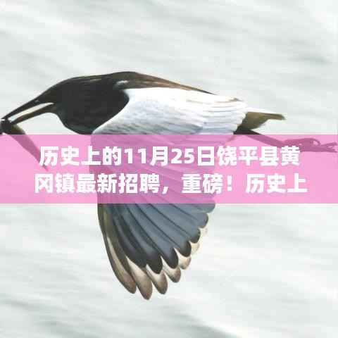饶平县黄冈镇历史上的11月25日最新招聘启事,把握就业机会,共创未来辉煌!