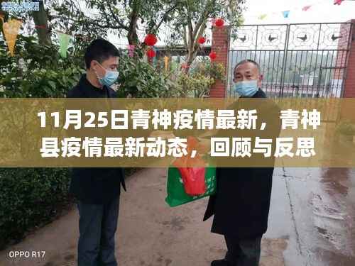 青神县疫情最新动态回顾与反思,11月25日最新疫情情况分析