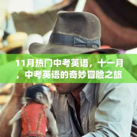 十一月中考英语奇妙冒险之旅解析