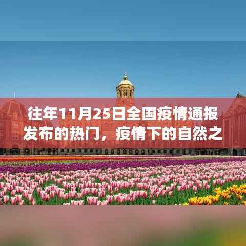 疫情下的自然之旅,寻找内心的宁静与美景的奇遇之旅——全国疫情通报背后的故事