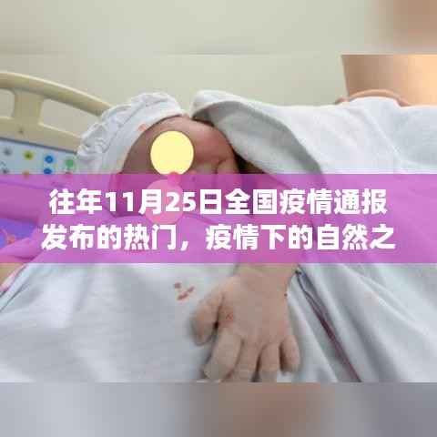 疫情下的自然之旅,寻找内心的宁静与美景的奇遇之旅——全国疫情通报背后的故事