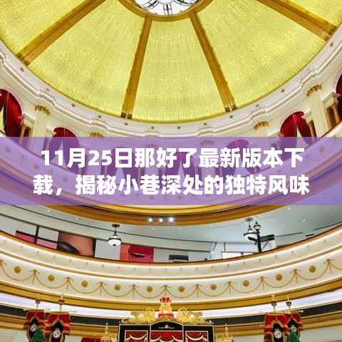 11月25日最新版本下载,小巷深处的独特风味与特色小店探秘