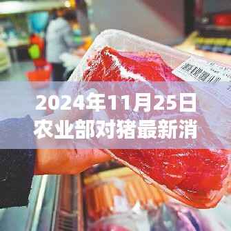 揭秘猪产业智能管理新动态，农业部最新消息与智能新时代来临