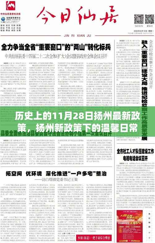 扬州新政策下的友谊与爱故事,历史视角下的温馨日常(11月28日最新政策)
