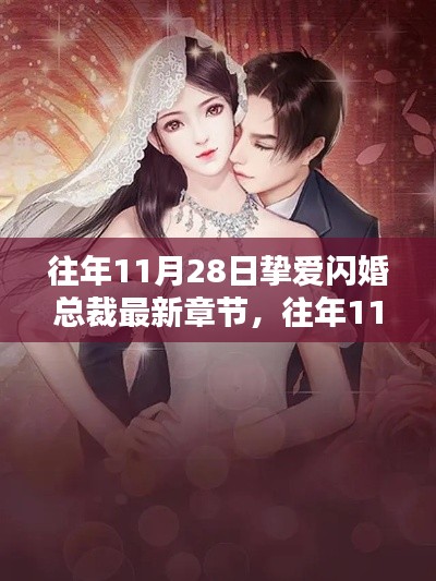 往年11月28日挚爱闪婚总裁,爱的速度与深度最新章节