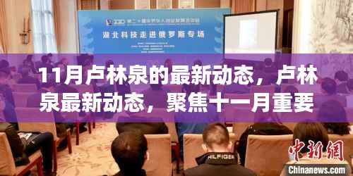 卢林泉最新动态,聚焦十一月重要活动及进展进展