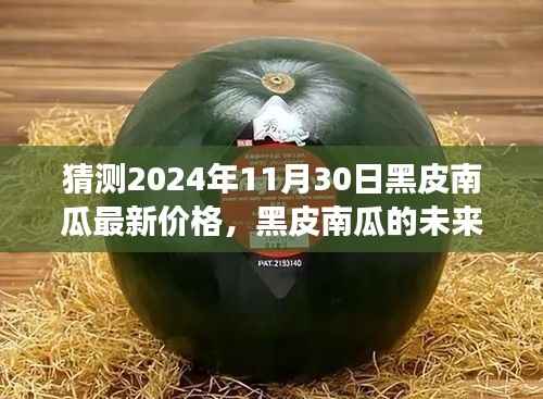 黑皮南瓜未来趋势揭秘,把握机遇,自信闪耀南瓜市场预测报告(最新价格及学习变化)
