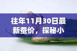 探秘11月30日蚕价秘境,小巷深处的蚕丝盛宴,最新蚕价揭晓!