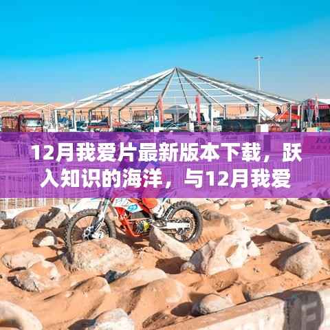 跃入知识海洋,与最新12月我爱片版本共舞,自信与成就感的召唤