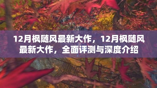 12月枫随风最新大作,全面评测与深度介绍