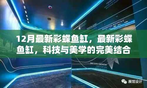 科技与美学完美融合,最新彩蝶鱼缸亮相十二月市场