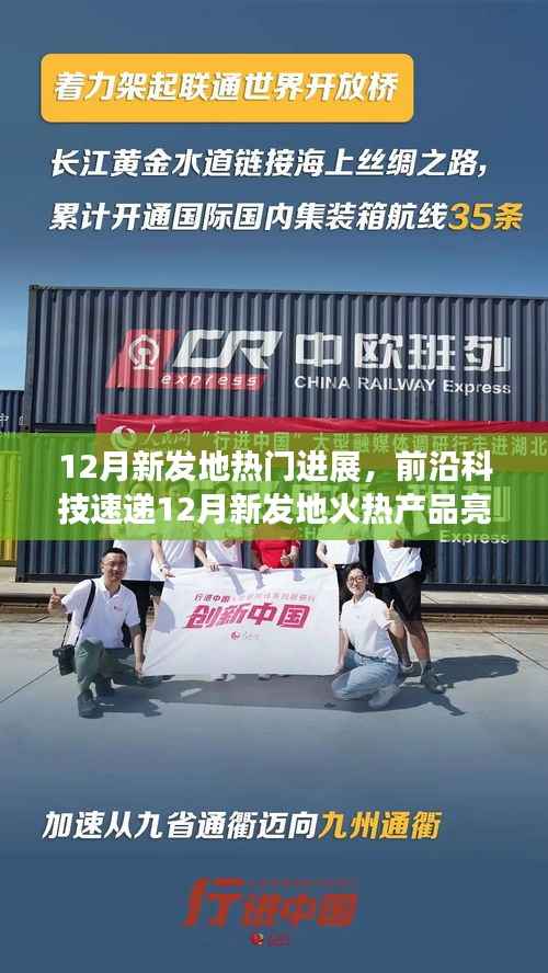 花开无言 第11页