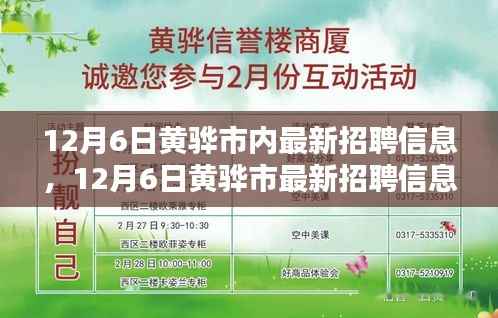 九死一生 第13页