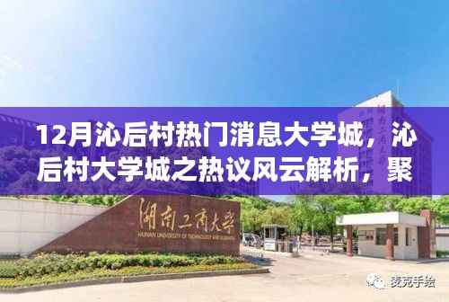 沁后村大学城热议风云,十二月焦点事件背后的观点碰撞解析