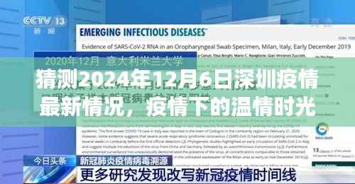 深圳疫情下的温情时光，预测与未来的故事