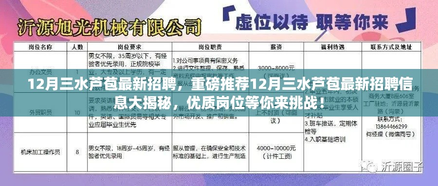 12月三水芦苞最新招聘信息大揭秘,优质岗位等你来挑战!
