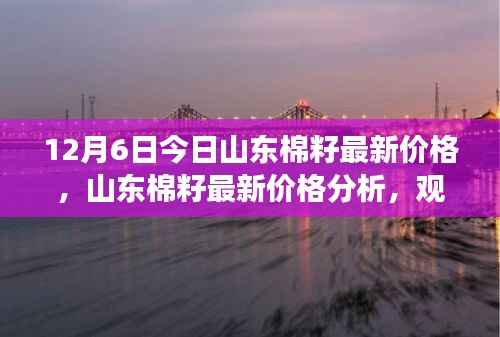 山东棉籽最新价格解析，观点与立场分享（12月6日）
