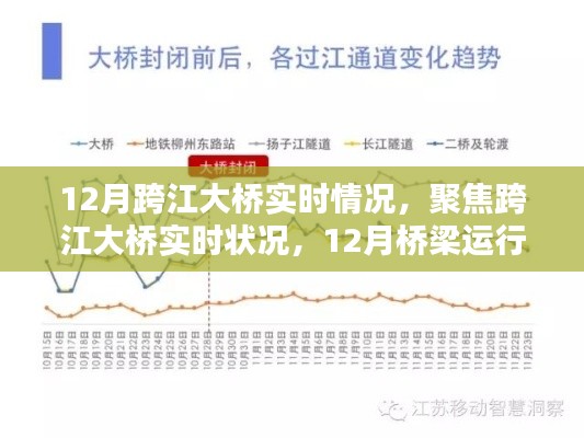 12月跨江大桥实时状况分析与观点探讨