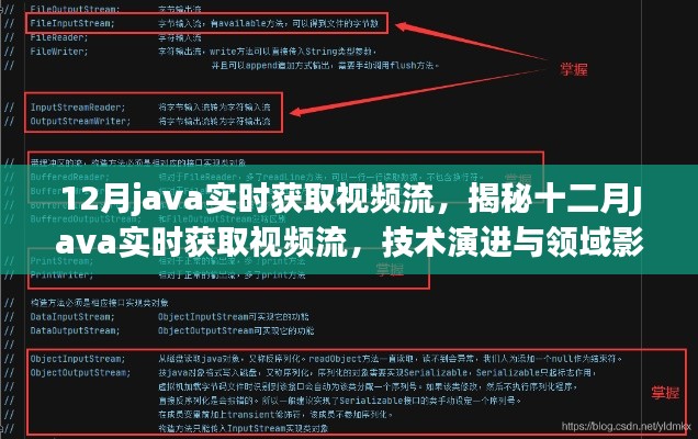 揭秘十二月Java实时获取视频流的技术演进与领域影响