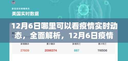 12月6日疫情实时动态全面解析及查看平台
