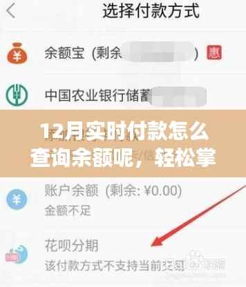 掌握正确姿势,12月实时查询余额的付款与余额查询指南