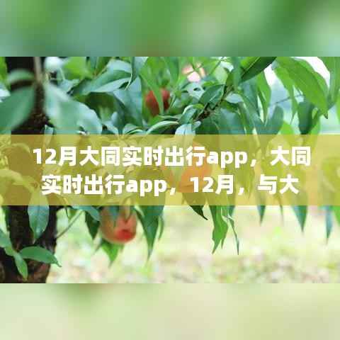 大同实时出行APP,与大自然共舞,寻找内心的宁静与平和(十二月版)