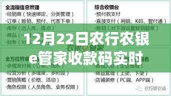 农行农银e管家收款码实时到账操作指南,从初学者到进阶用户的全方位指南