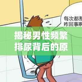 揭秘男性频繁排尿背后的原因,探究尿不断的真相!