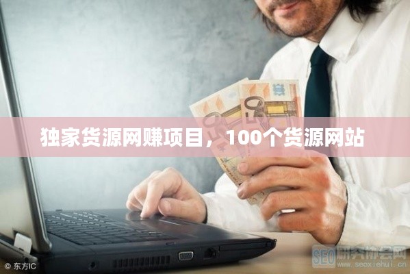 独家货源网赚项目，100个货源网站 