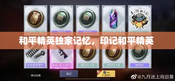 和平精英独家记忆，印记和平精英 