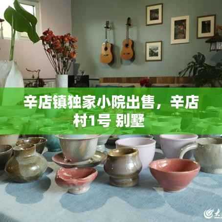 辛店镇独家小院出售，辛店村1号 别墅 