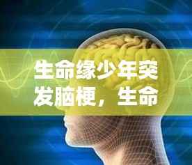 fanglangxinghai 第10页