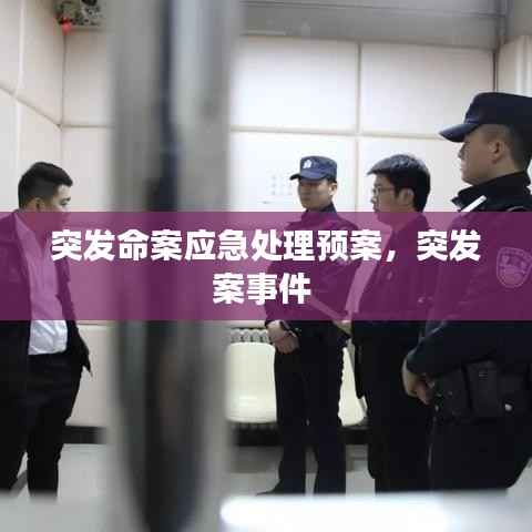 突发命案应急处理预案,突发案事件