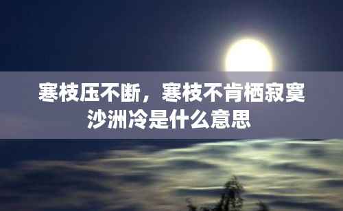 寒枝压不断，寒枝不肯栖寂寞沙洲冷是什么意思 