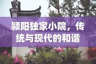 颍阳独家小院，传统与现代的和谐交融之典范