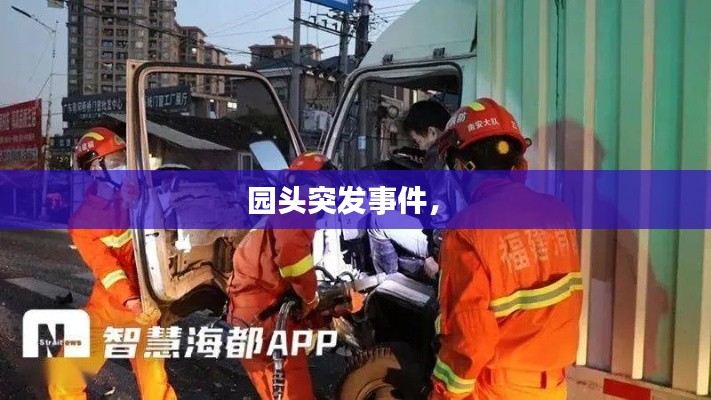 pangaojiegui 第11页