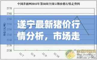 遂宁最新猪价行情分析,市场走势与影响因素探讨