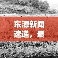 东源新闻速递，最新头条与新闻报道
