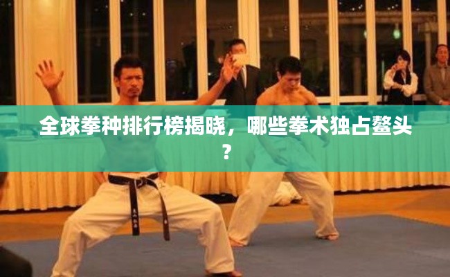 全球拳种排行榜揭晓,哪些拳术独占鳌头?