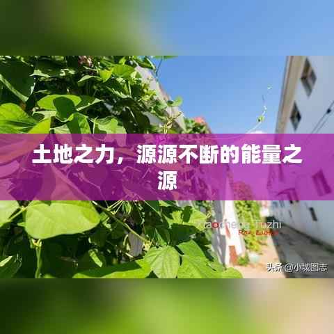 土地之力,源源不断的能量之源
