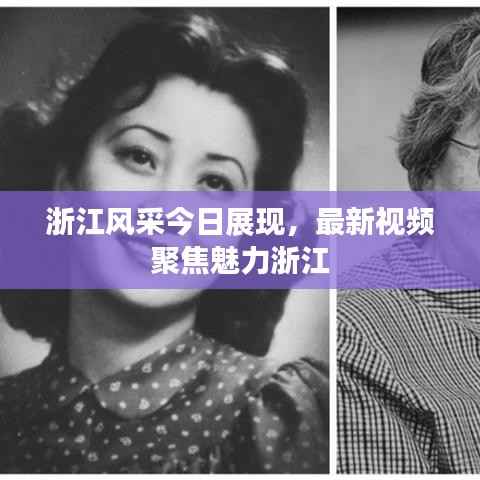 浙江风采今日展现,最新视频聚焦魅力浙江