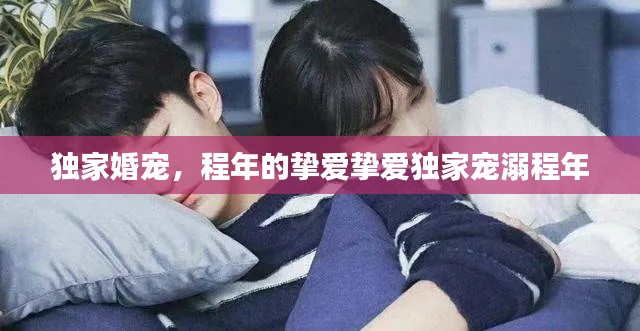 独家婚宠,程年的挚爱挚爱独家宠溺程年