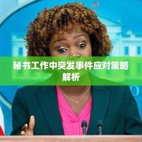 秘书工作中突发事件应对策略解析