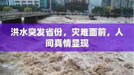 洪水突发省份,灾难面前,人间真情显现