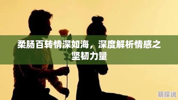 柔肠百转情深如海,深度解析情感之坚韧力量